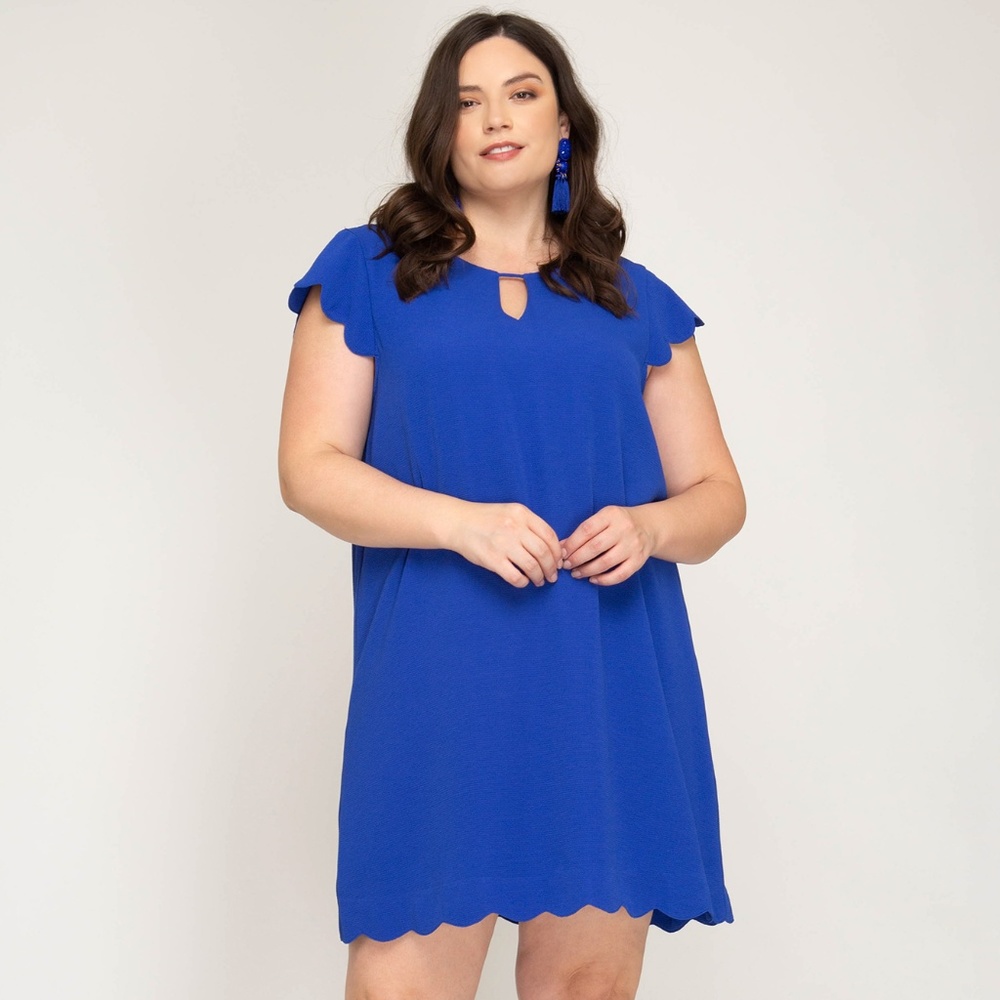 PLUS Size She + Sky Scalloped Hem DRESS Royal Blue